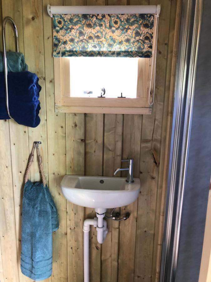 The Peacock Shepherds Hut At Hafoty Boeth Corwen Esterno foto