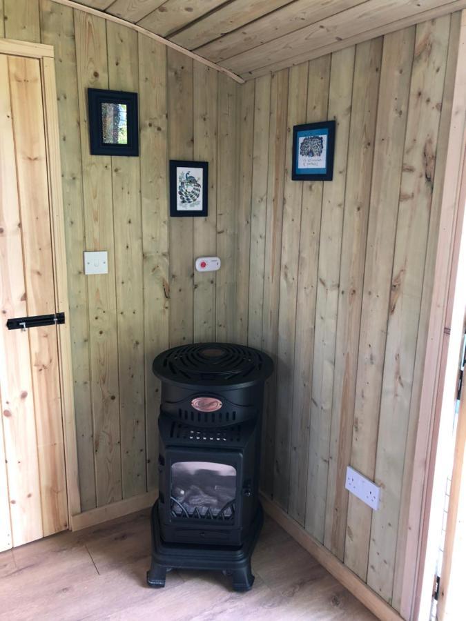 The Peacock Shepherds Hut At Hafoty Boeth Corwen Esterno foto